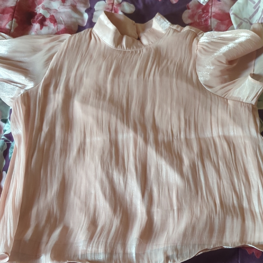 LC Lauren Conrad Soft Pink Blouse